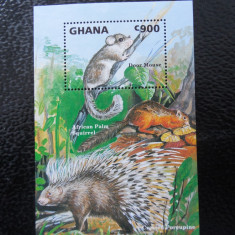 Bloc timbre fauna animale rozatoare nestampilate Ghana timbre filatelice postale