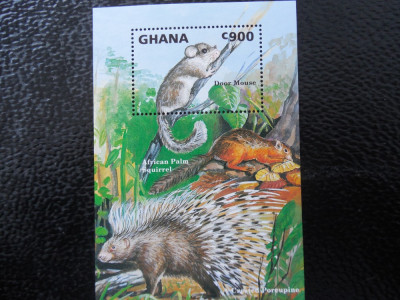 Bloc timbre fauna animale rozatoare nestampilate Ghana timbre filatelice postale foto