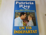Patricia Rice - Un vis indepartat