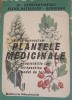 Sa ne cunoastem plantele medicinale - Gr. Constantinescu, Elena Hatieganu