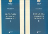 Pr. Prof. Dr. Stefan Buchiu - Teologia dogmatica ortodoxa, 2 volume