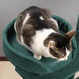 BIG MAU, Verde Smarald, 185 cm, Ansamblu Joaca Pisici, Casuta Pisica,