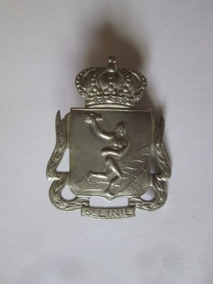Semn de arma /Cuc cascheta ofiter Regimen.belgian de infanterie a 6-a linie WWII foto