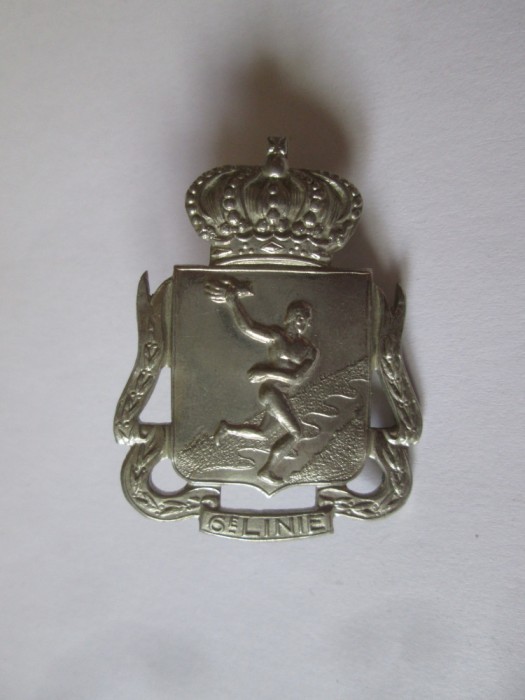 Semn de arma /Cuc cascheta ofiter Regimen.belgian de infanterie a 6-a linie WWII