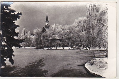 bnk cp Bucuresti - Vedere din Parcul Libertatii - circulata foto