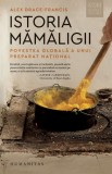 Cumpara ieftin Istoria mămăligii. Povestea globală a unui preparat național &ndash; Alex Drace-Francis