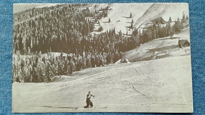 487 - Muntele Mic / peisaj de iarna cu schior, schi - vedere carte postala