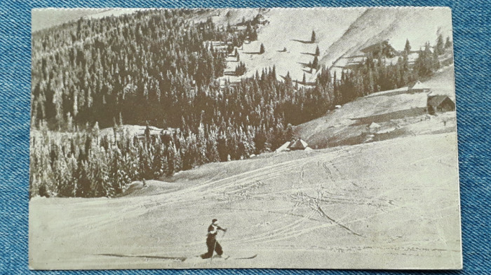 487 - Muntele Mic / peisaj de iarna cu schior, schi - vedere carte postala