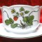 SOSIERA PORTELAN SELTMANN WEIDEN BAVARIA DECOR BOTANICA FRAGUTE DE PADURE