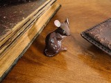 BIBELOU SOARECE - DESIGNER Albert Hallam (BESWICK)- MARCAJ ENGLAND H6,5CM