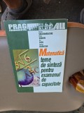 Matematică - Ștefan Smarandache, Petre Simion, Ion Cicu, Gabriel Răducan