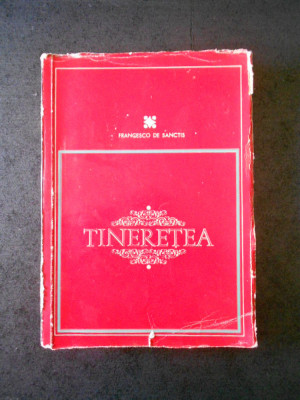 FRANCESCO DE SANCTIS - TINERETEA foto