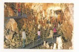 RF92 - Carte Postala - Pestera Ursilor, Chiscau ( Bihor ), necirculata