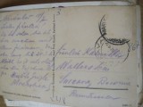 Circulatii Ilustrate Bukowina Bucovina Suczava