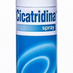 CICATRIDINA SPRAY 125ML