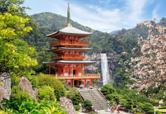 Puzzle Castorland - Seiganto-ji Temple Japan 1000 piese foto