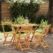 Set Bistro Pliabil din 5 Piese Lemn Solid de Acacia