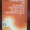 Probleme de algebra, geometrie si ecuatii diferentiale Constantin Udriste, Constantin Radu