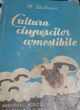 CULTURA CIUPERCILOR COMESTIBILE M BULBOACA