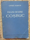 Pagini despre Cosbuc - Gavril Scridon