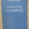 Pagini despre Cosbuc - Gavril Scridon