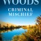 Criminal Mischief