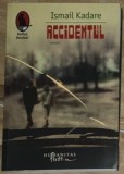 Ismail Kadare - Accidentul