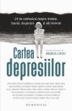 Cumpara ieftin Cartea Depresiilor, Marius Chivu - Editura Humanitas