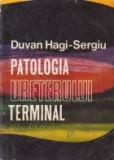 Patologia ureterului terminal