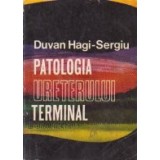 Patologia ureterului terminal