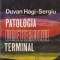 Patologia ureterului terminal