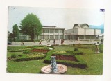 RF213 - Carte Postala - Piatra Neamt. Casa de cultura si biblioteca judeteana, necirculata