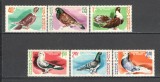 Romania.1981 Columbofilie-Pasari porumbei XR.844