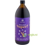 Suc din 7 Superfructe cu Puternice Proprietati Antioxidante Ecologic/Bio 1L