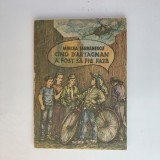 Cind D'Artagnan A Fost Sa Fie Fata