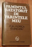 Pamantul batatorit de parintele meu de Puia Florica Rebreanu