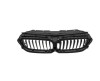 Grila radiator BMW Seria 5 (G30/G31), 05.2017-, fata, negru/negru; intern