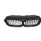 Grila radiator BMW Seria 5 (G30/G31), 05.2017-, fata, negru/negru; intern