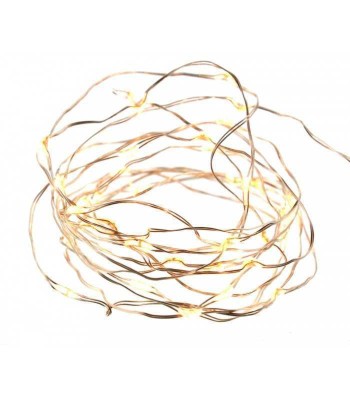 Ghirlanda luminoasa 30 micro LED-uri albe luminozitate ridicata foto