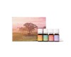Colectia Finca Botanica Farm Collection