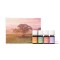 Colectia Finca Botanica Farm Collection