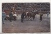 Bnk cp Corrida de toros - El arrastre - necirculata, Spania, Printata