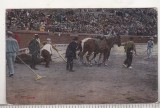 Bnk cp Corrida de toros - El arrastre - necirculata, Spania, Printata