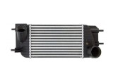 Intercooler Nissan Juke (F15), 06.2010-, motor 1.6 T, Juke Nismo (F15), 02.2013-07.2014, 1.6 DIG-T, benzina, cu/fara AC, aluminiu brazat/plastic, 281, Rapid