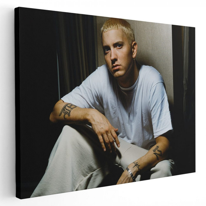 Tablou afis Eminem cantaret 2409 Tablou canvas pe panza CU RAMA 60x90 cm