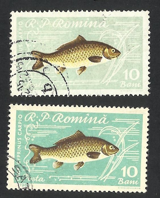 EROARE DE CULOARE -- ROMANIA PESTI -1960 --VEZI SCANARE !!!