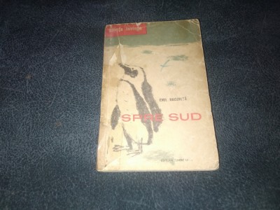 EMIL RACOVITA - SPRE SUD foto