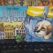 Puppy in the pocket, Heljo Mand, Translated from the Estonian by Arvi Jurviste, illustrated by Priit Ream, editura perioodika Tallin 1988, 090
