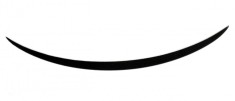 NEW OE CARBON REAR SPOILER AILERON MERCEDES E-KLASSE C238 W238 COUPE A2387900200