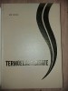 Termoelasticitate- Ion Grindei